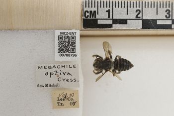 Media type: image;   Entomology 788796 Aspect: Labels